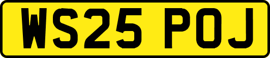 WS25POJ