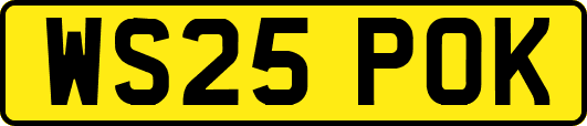 WS25POK