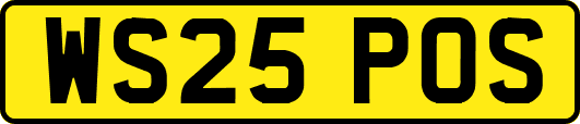 WS25POS