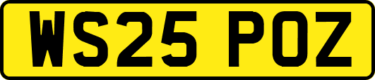 WS25POZ