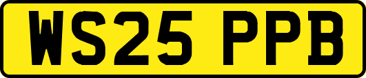 WS25PPB