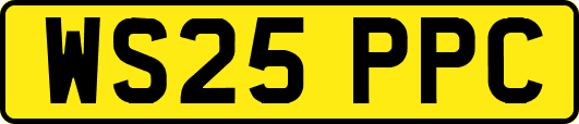 WS25PPC