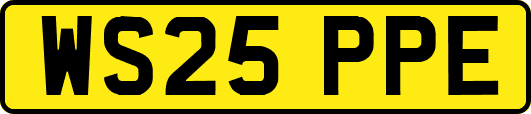 WS25PPE