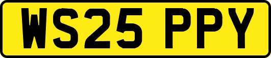 WS25PPY