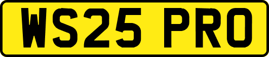 WS25PRO