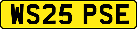 WS25PSE