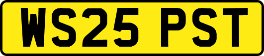 WS25PST