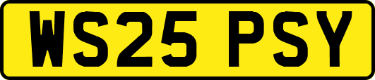 WS25PSY