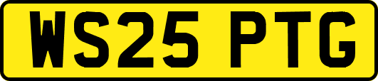 WS25PTG
