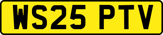 WS25PTV