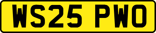 WS25PWO