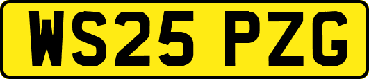 WS25PZG