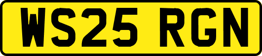 WS25RGN