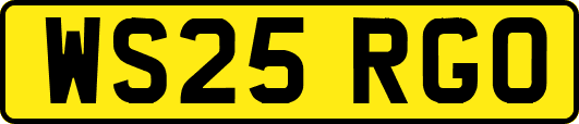 WS25RGO