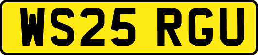 WS25RGU