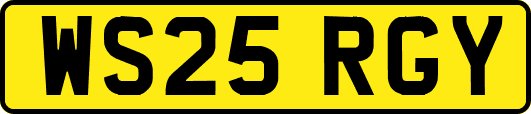 WS25RGY