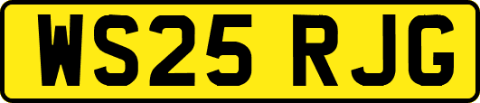 WS25RJG