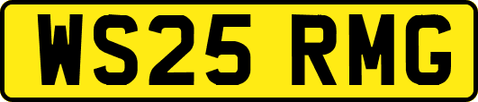 WS25RMG
