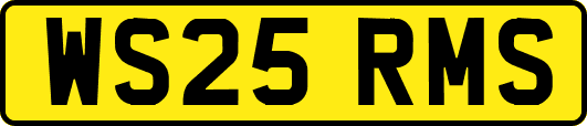WS25RMS