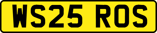 WS25ROS
