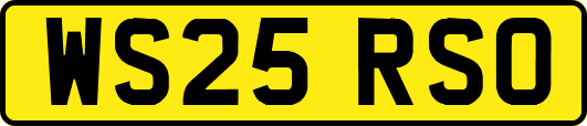 WS25RSO