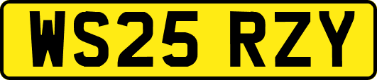 WS25RZY