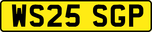 WS25SGP