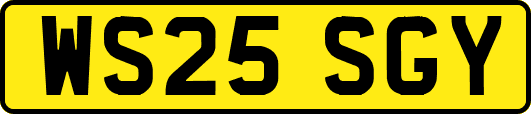 WS25SGY