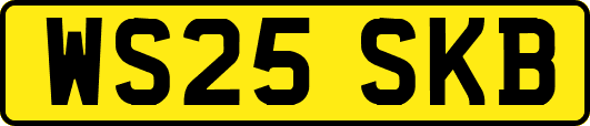 WS25SKB