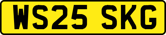 WS25SKG