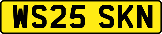 WS25SKN