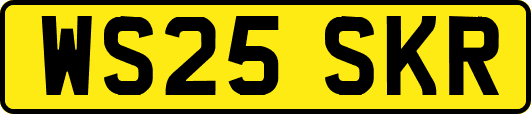 WS25SKR