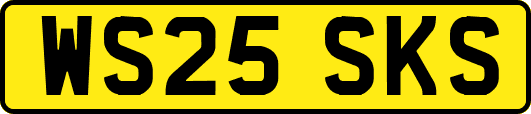 WS25SKS
