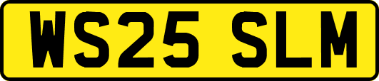 WS25SLM