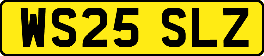 WS25SLZ