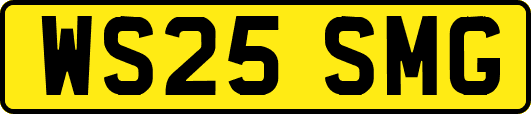 WS25SMG