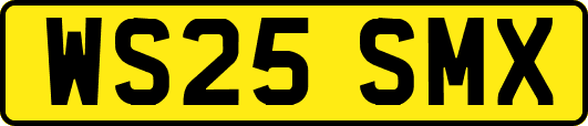 WS25SMX