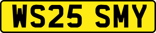 WS25SMY