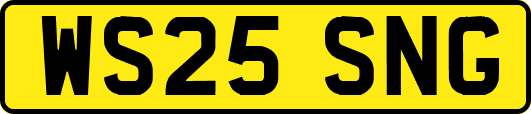 WS25SNG