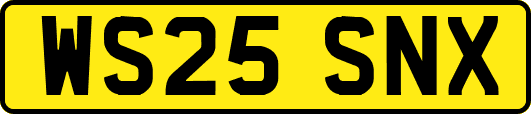 WS25SNX