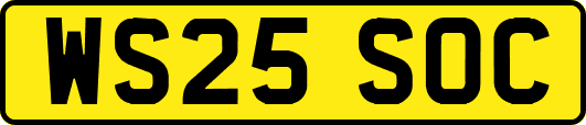 WS25SOC