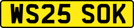 WS25SOK