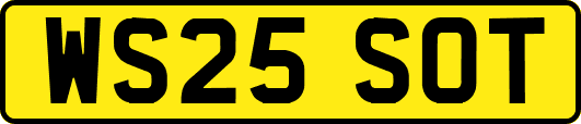 WS25SOT