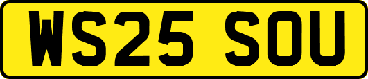WS25SOU