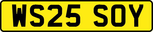 WS25SOY