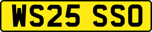 WS25SSO