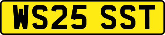WS25SST