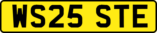 WS25STE