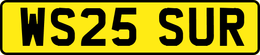 WS25SUR