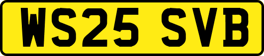 WS25SVB